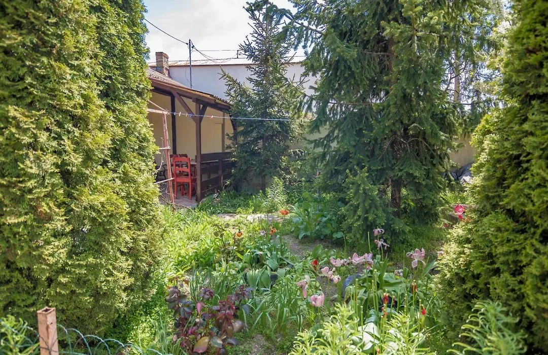 Old House-1