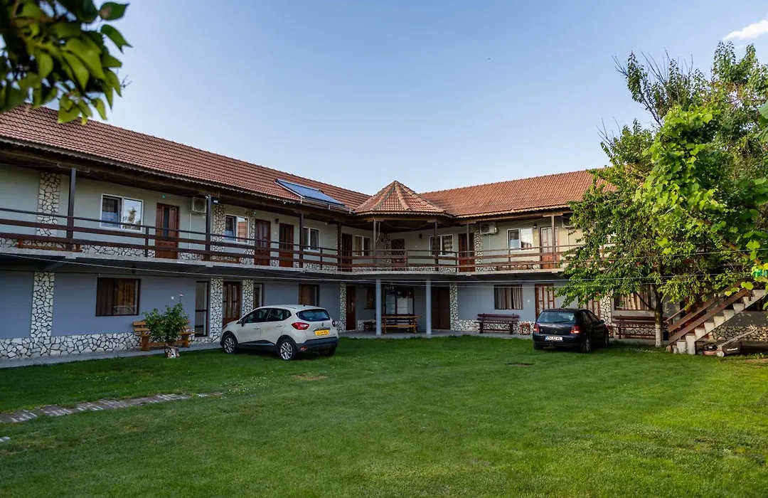 Casa Tudor Vama Veche-1