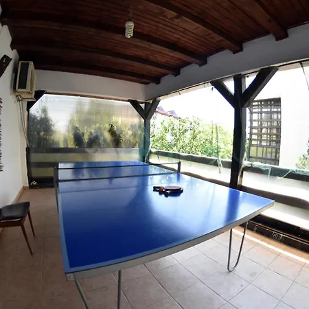 Casa de Vis Vama Veche-3