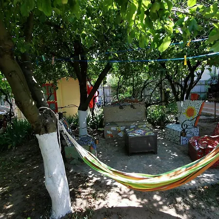 Casa de Vis Vama Veche-2