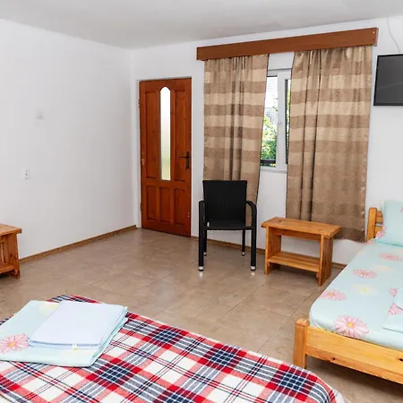 Casa Tudor Vama Veche-2