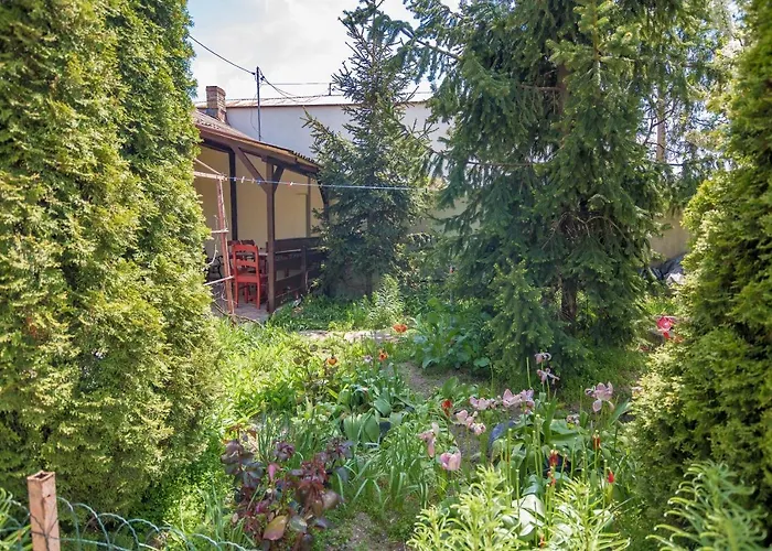 Old House Apartment Vama Veche