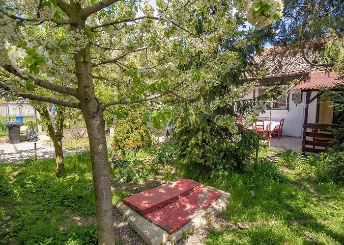 Old House Apartment Vama Veche