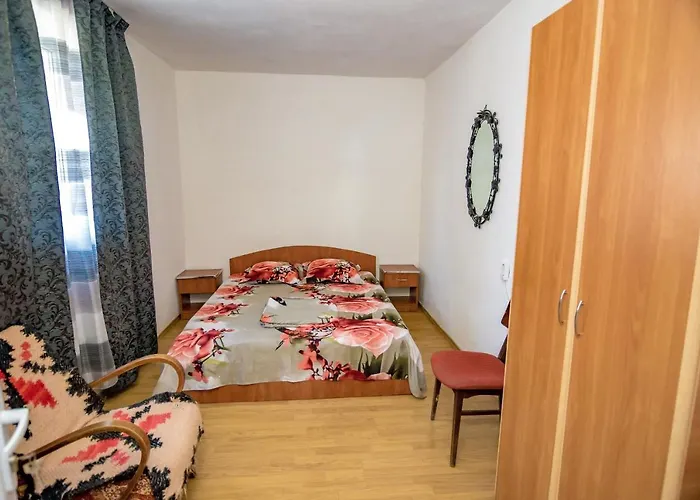Old House Apartment Vama Veche