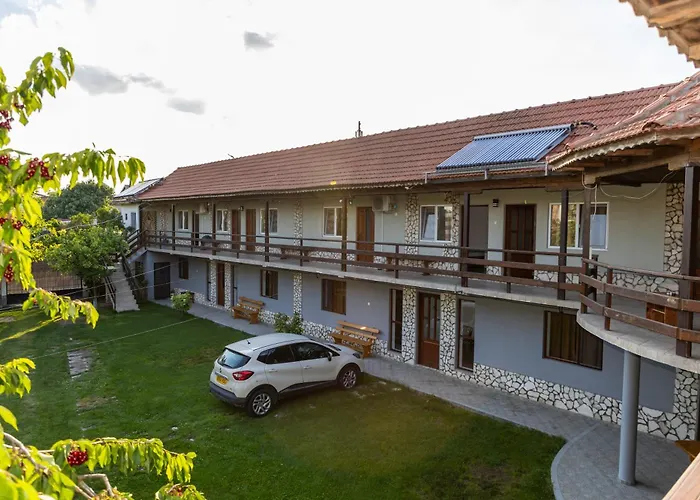 Casa Tudor Vama Veche